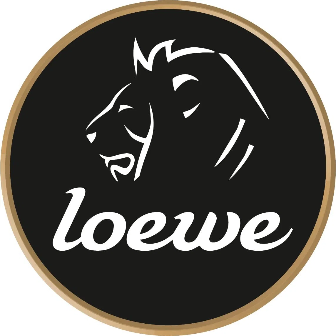 Loewe PowerBag Tragetasche für Dampfbügeleisen - Aufbewahrungstasche für Bügeleisen - Für maximalen Schutz und schickem Design