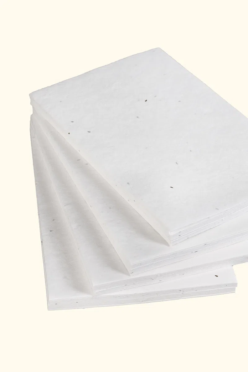 Wanderings Handgemachte Blumensamen Papierkarten – A6 Größe / 10 x 15 cm – 50 Stück – Pflanzbare Wildblumen-Samenpapier für Einladungen, Postkarten & Gedenkfeiern – 250 GSM Büttenrand