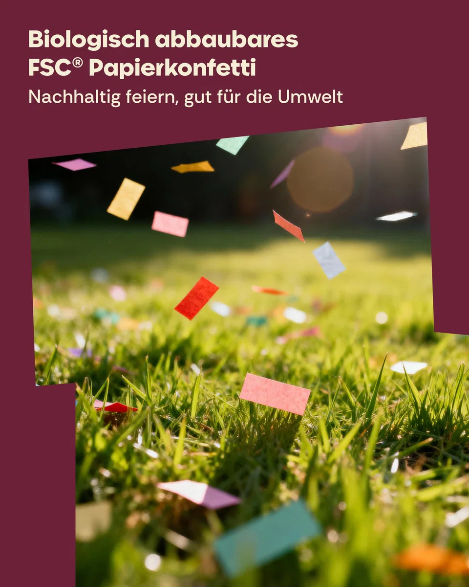 10 Konfettikanonen Bunt - Einfach & Sicher zu Bedienen - 5-8 Meter langen Konfettistrahl - Für Innen und Draußen
