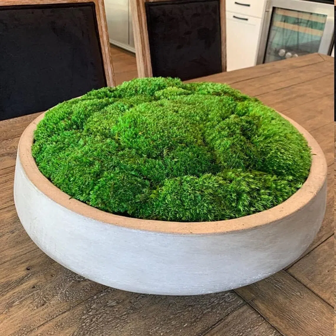 konservierte Pflanzen Stange Mooskissen Dutt Kissen Natur Grün Dekorativ Echt Natur Grün DIY Kit Terrarien Gartenarbeit Kunst Wanddekoration Florist Dekor (Green-b, 1.5 sq.ft.)
