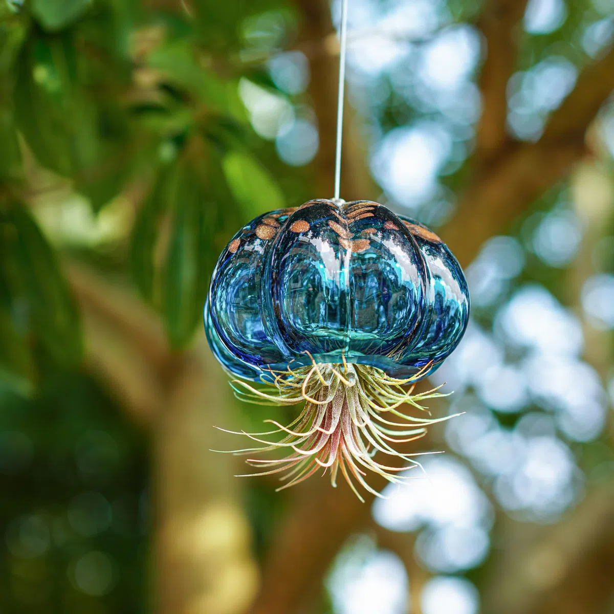 Luftpflanzentopf zum Aufhängen in Form einer geblasenen Qualle aus Glas, süßer blauer Quallen Luftpflanzenhalter, Geschenke für Frauenzimmer, Garten, Hochzeitsfeier Dekoration (ohne Pflanzen)