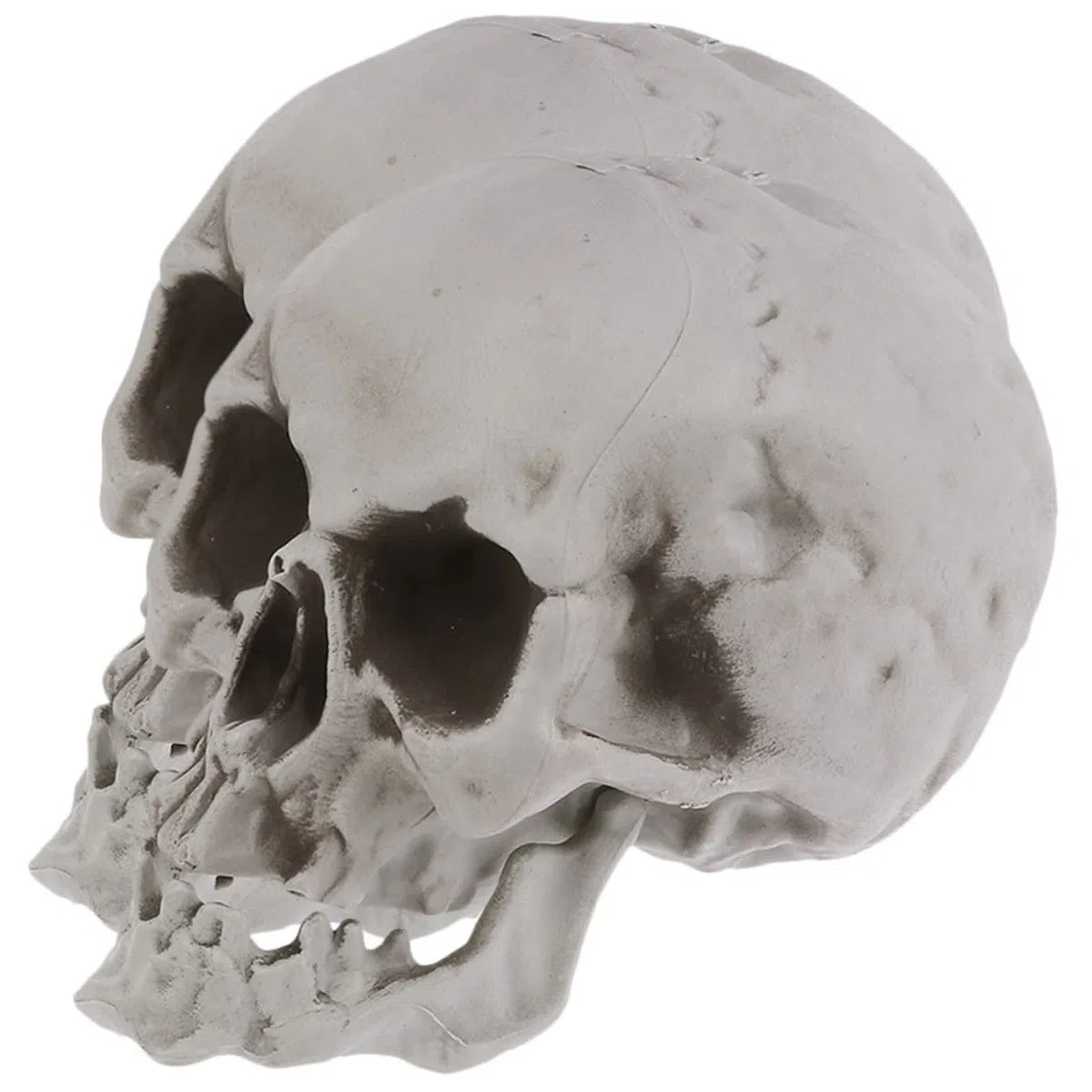 2stücke Simulationsmodelle Menschlicher Schädel für Halloween-Dekoration und Grusel-atmosphäre im Spukhaus
