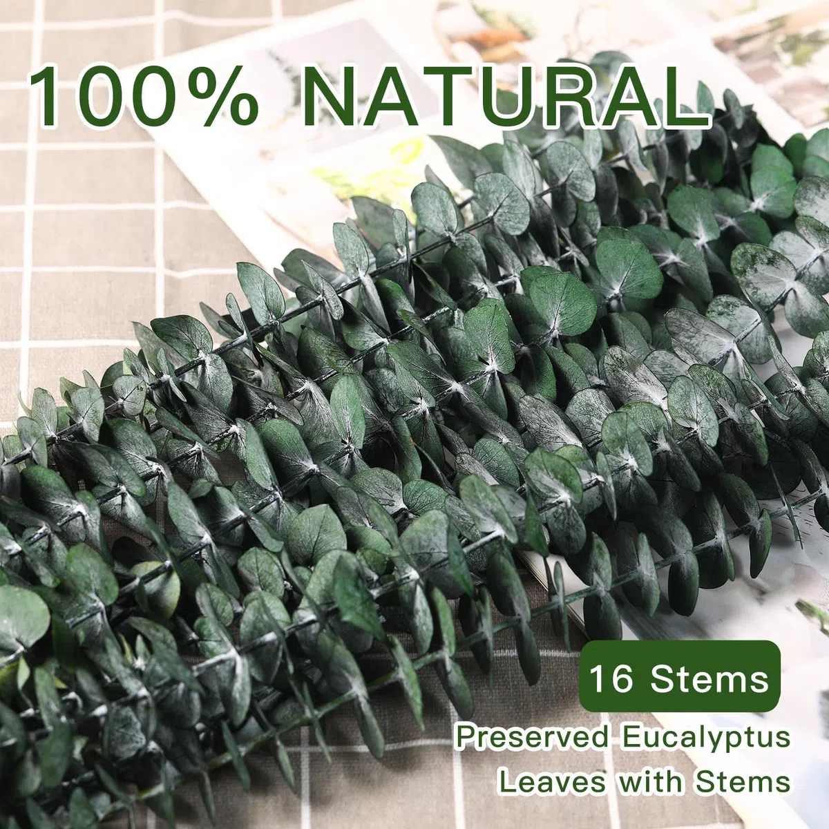 Getrocknete Eukalyptusäste, Packung mit 16 natürlichen echten grünen Eukalyptusblättern, 44 cm erhaltene Eukalyptuspflanze für Hochzeiten, Blumenarrangements, Raumduft und Vasen-Dekoration
