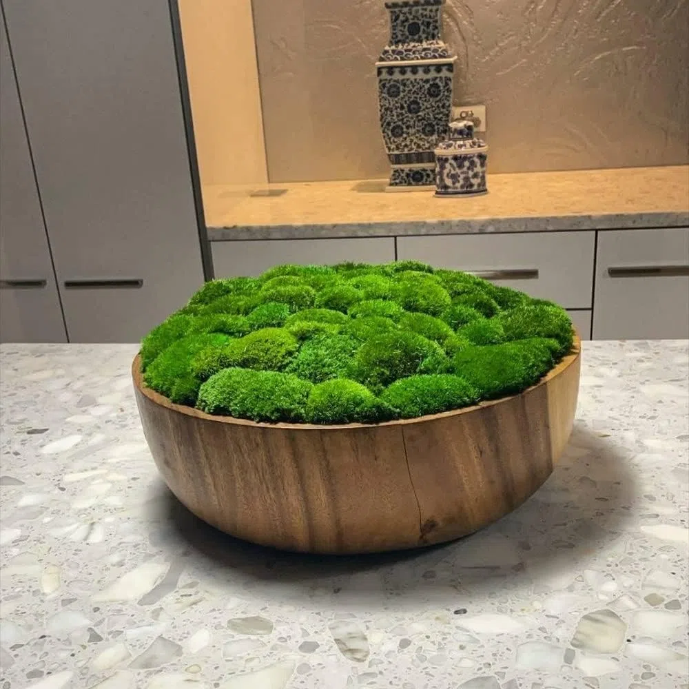 konservierte Pflanzen Stange Mooskissen Dutt Kissen Natur Grün Dekorativ Echt Natur Grün DIY Kit Terrarien Gartenarbeit Kunst Wanddekoration Florist Dekor (Green-b, 1.5 sq.ft.)