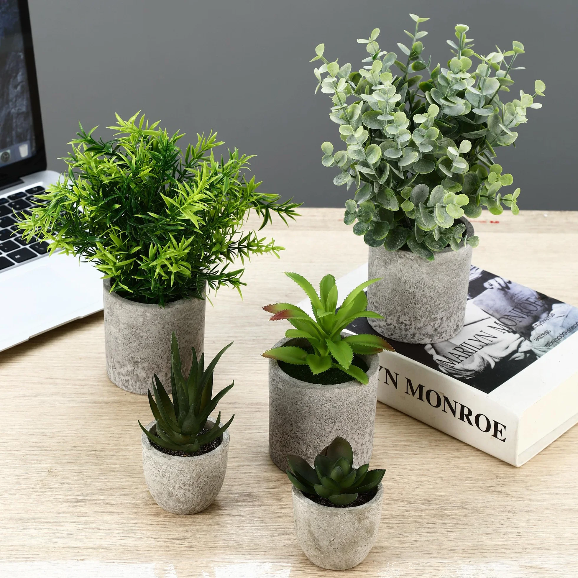 5 Stück Kunstpflanze, Mini Künstliche Pflanzen Schlangenzunge, Agave Sukkulente, Eagle Claw Aloe, Künstliche Pflanzen für Schlafzimmer Büro Dekoration