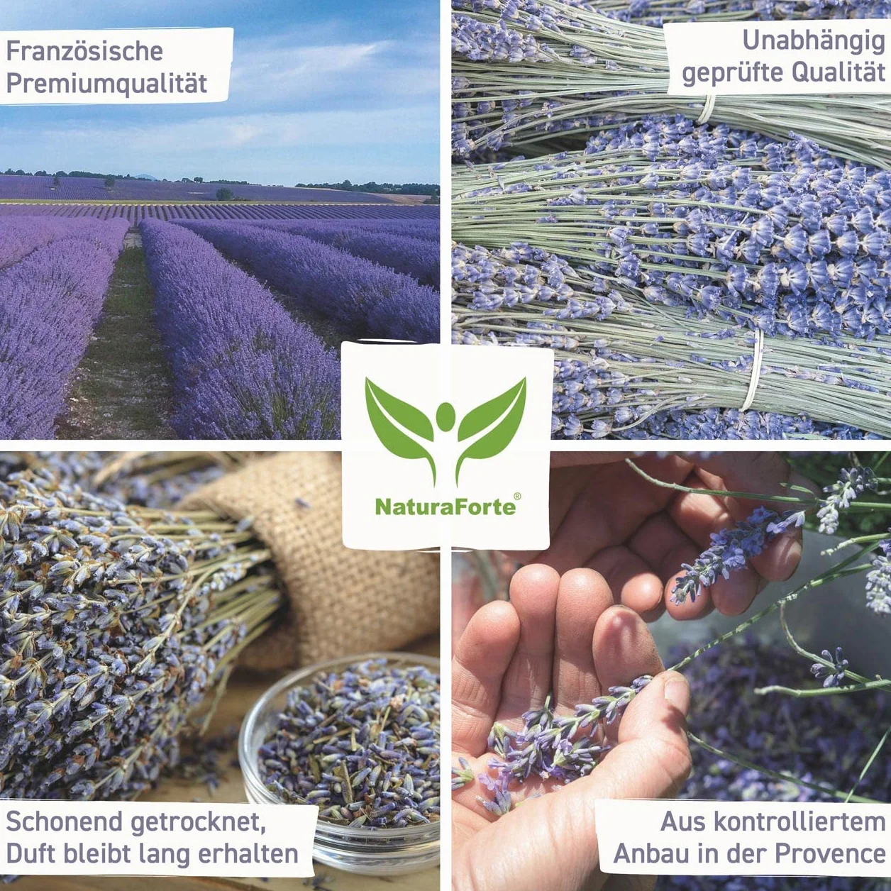 NaturaForte Lavendelblüten 500 g - Duftintensiv & bläulich, Lavendel getrocknet für Duftkissen, Potpourri Duft, Lavendelsäckchen, Seifen, Duftsäckchen