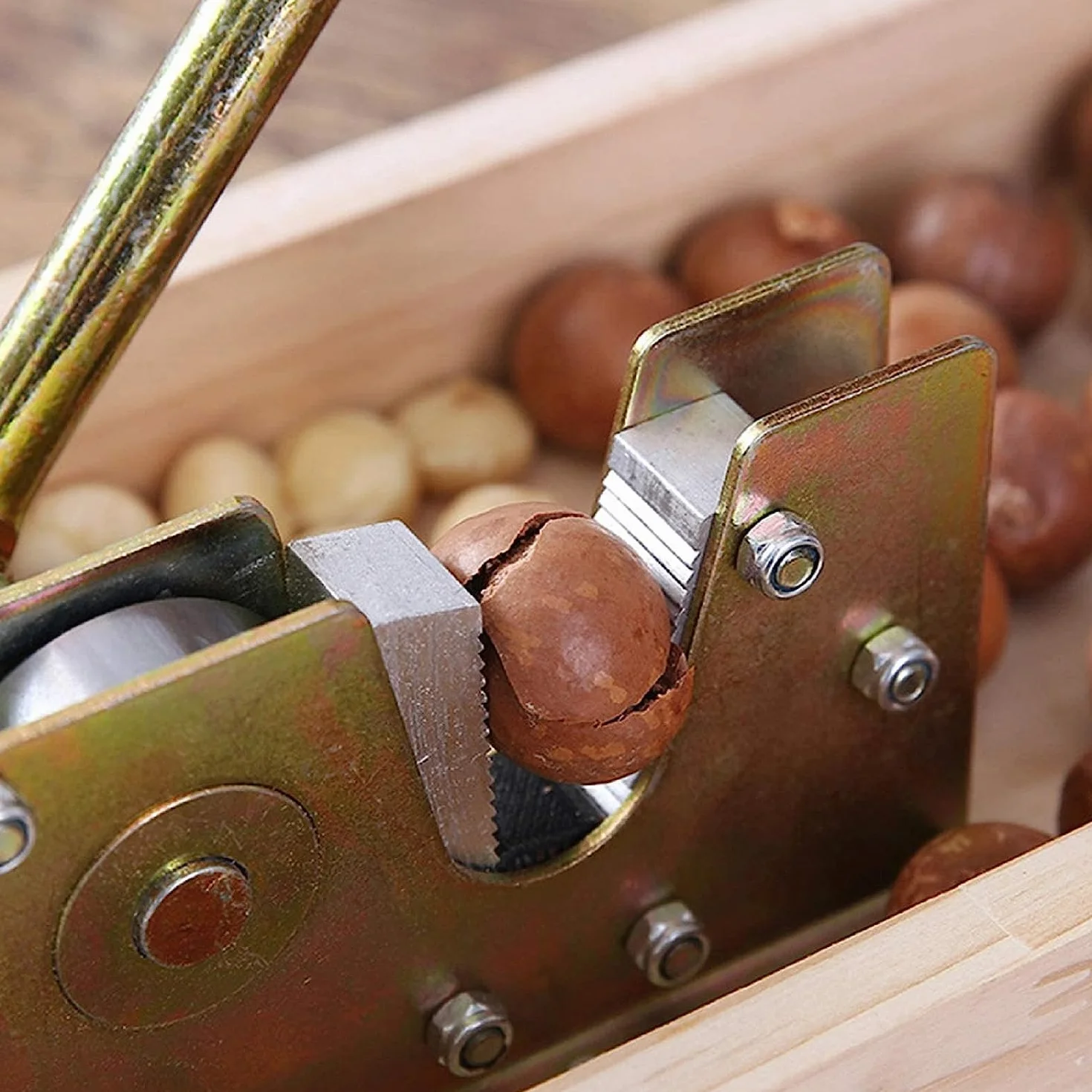 Nussknacker Walnussknacker,Nut-Cracker mit Hebel-Funktion grönverstellbar öffnet mühelos hartschalige Nüsse Für Haselnüsse, Paranüsse, Mandeln, Pekannüsse