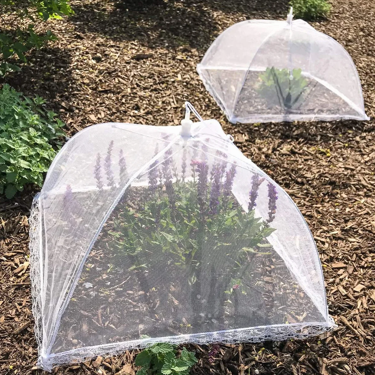 Annhao 8er Set Fliegenhaube Lebensmittel, Wiederverwendbare Abdeckhauben für Lebensmittel, Faltbare Fliegenschutz Essen Pop-Up, Hält Fliegen, Insekten und Mücken fern, Insektenschutz Indoor & Outdoor