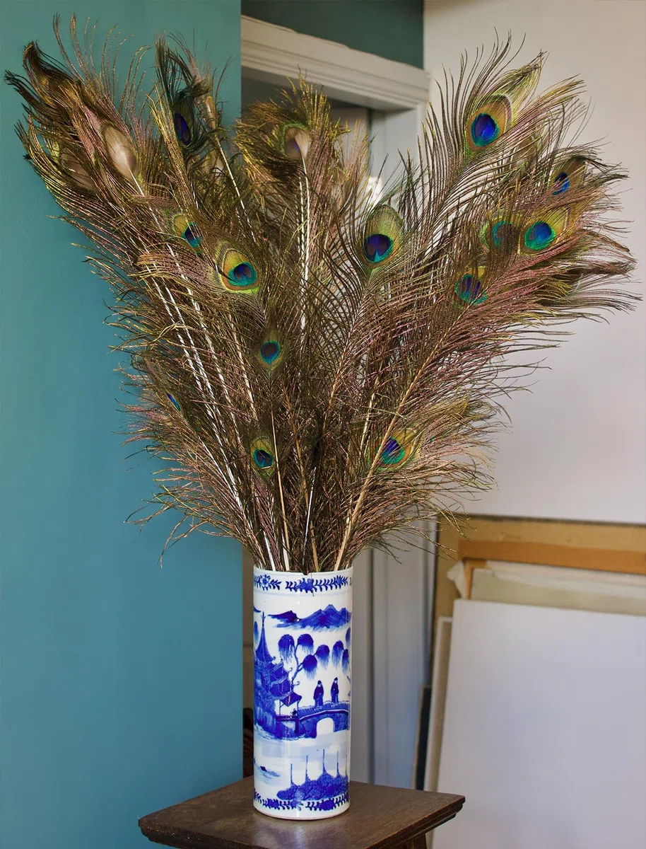 10 Stück Pfauenfedern Lang 80~90 cm（31.5~35.4 inch）, Federn Groß Für für Zuhause Dekoration, Hochzeit, Basteln, Vase