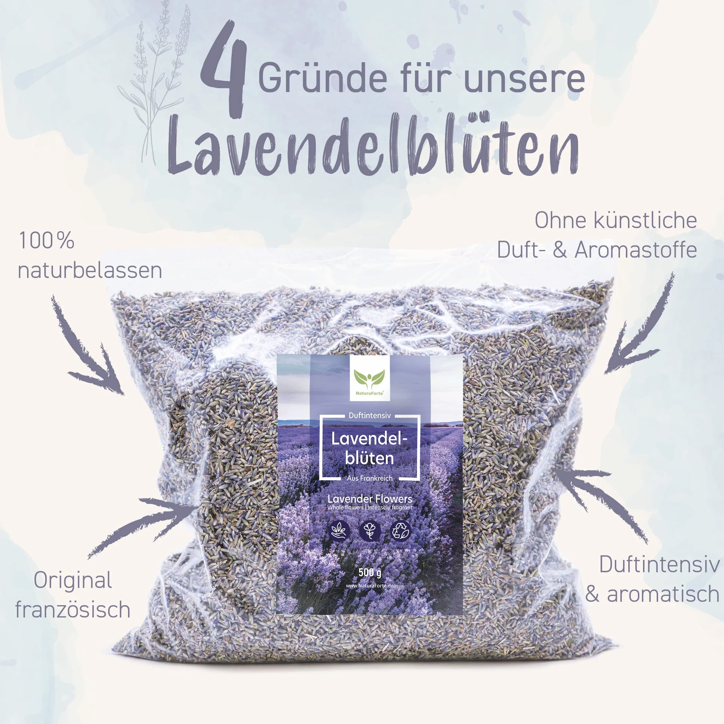 NaturaForte Lavendelblüten 500 g - Duftintensiv & bläulich, Lavendel getrocknet für Duftkissen, Potpourri Duft, Lavendelsäckchen, Seifen, Duftsäckchen