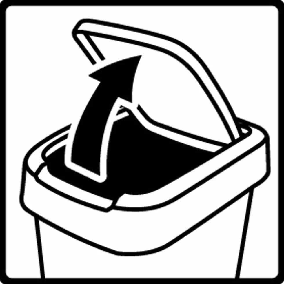 Rotho Twist Mülleimer mit Deckel 50l | Abfalleimer Küche und Recycling Center | mit Schwingdeckel und Klappdeckel | schmal & platzsparend | leicht zu reinigen | silber