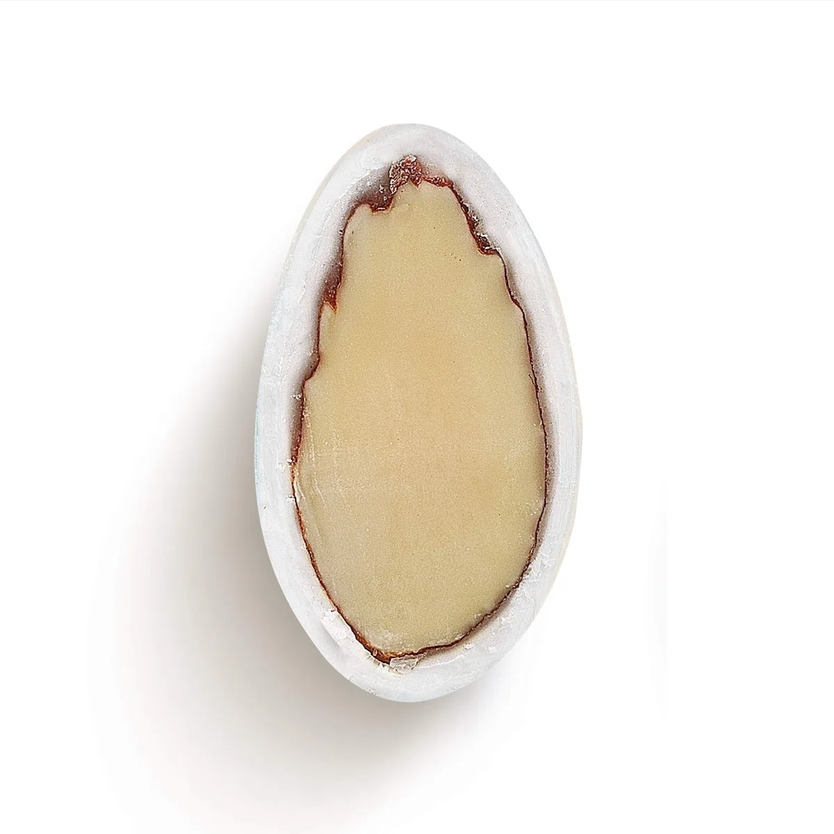EinsSein 1kg Hochzeitsmandeln Imposante Weiß Matt | ca. 200 Stück Premium Zuckermandeln für Hochzeit Taufe & Gastgeschenke | Mandeln Bonboniere Confetti Badem Sekeri Taufmandeln