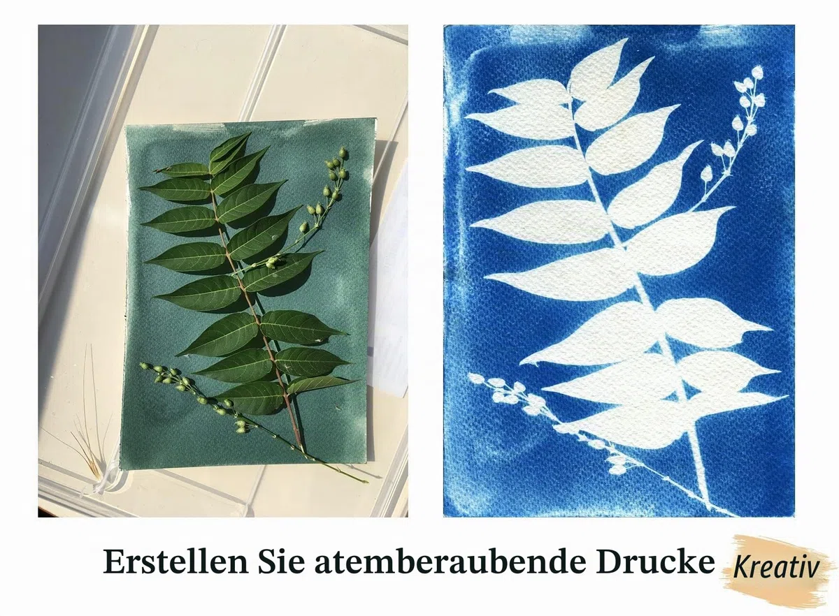 Creative Crafters Cyanotypie Kit mit Handgefertigtem Künstlerpapier, Schaumpinseln & Tipps Blatt - Cyanotype Kit zur Herstellung von Solar Fotopapier für Sonnenographie, Solardrucke