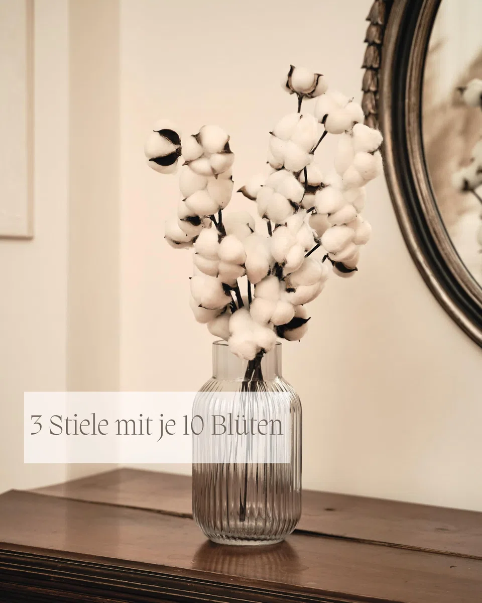 Nina-Maria's Deko Gold Echter Baumwollzweig 3 Stiel mit je 10 Köpfen, getrocknete Baumwolle Zweig, weiß Deko für Vasen, Trockenblumenstrauß, als Hochzeitsdeko oder Tischdekoration
