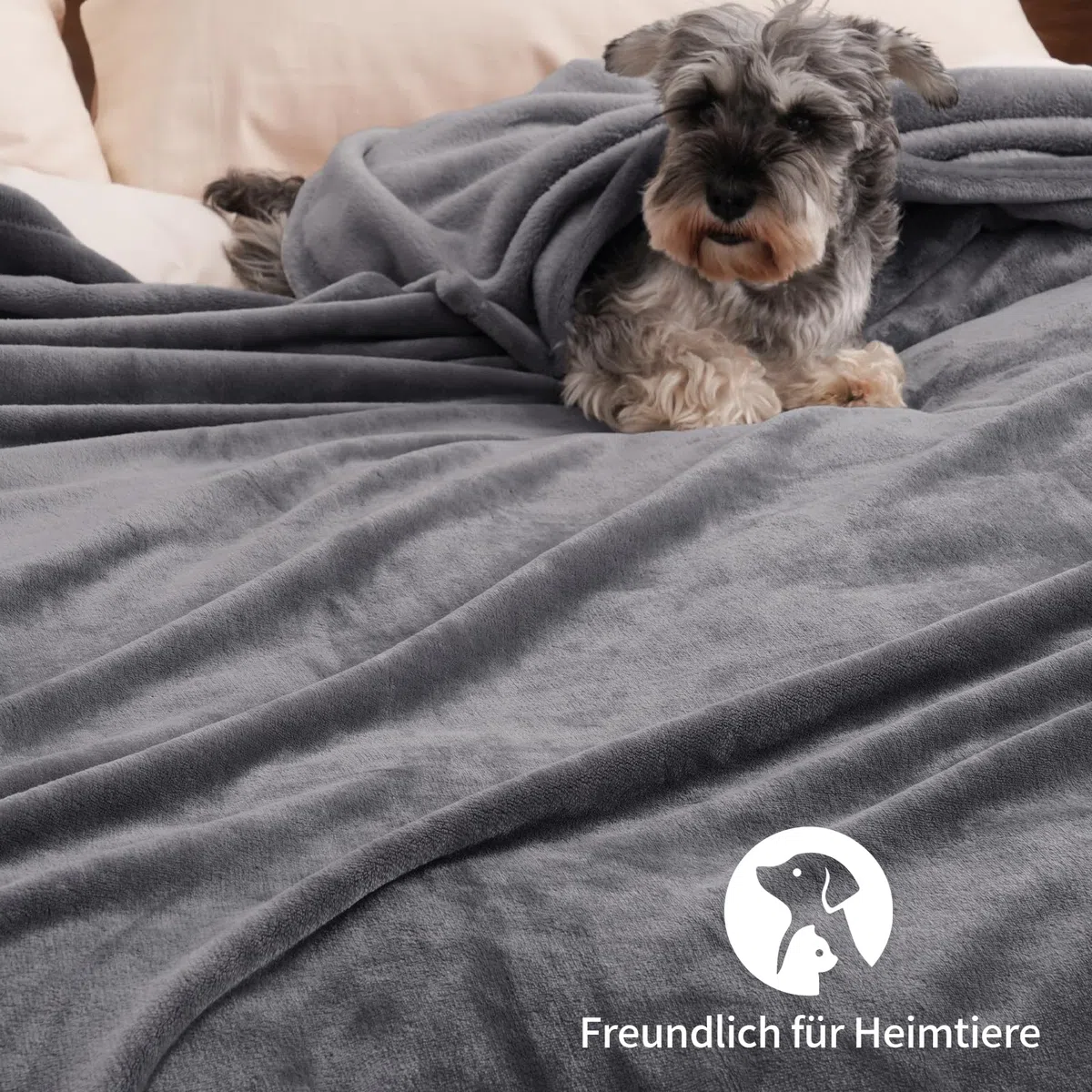 PHF Kuscheldecke Flauschig Fleecedecke 150x200cm - Oeko-Tex Weich Warm Wohndecke, 1PC Decke Blanket für Couch Sofa Bett, Tagesdecken & Kuscheldecken, Sofa überwurfdecke, Grau