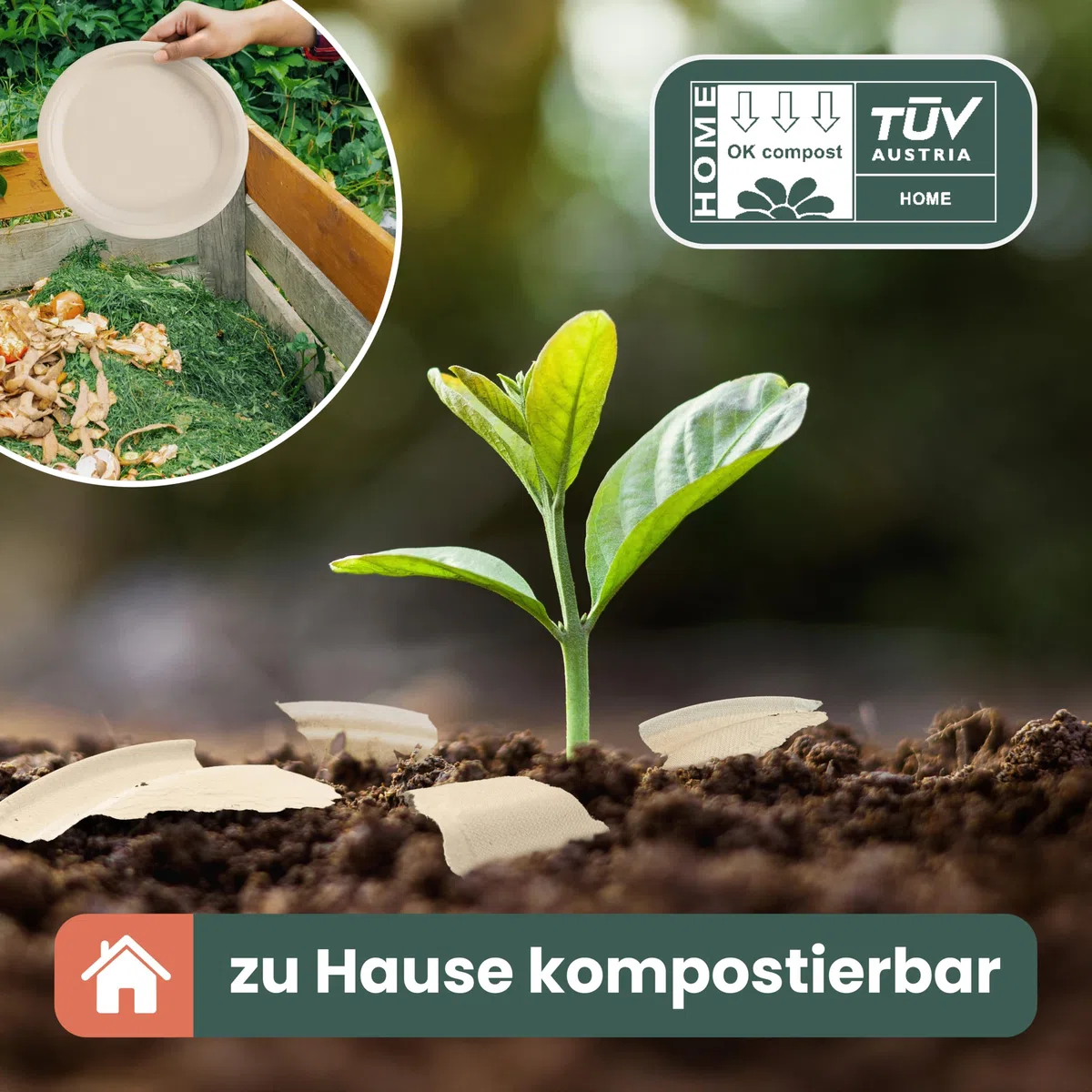 HAAGO 100 Extra Stabile Suppenschalen aus Zuckerrohr (Bagasse), 350ml / 12oz – Fett- & Auslaufsichere Pappschüsseln – Kompostierbar & Biologisch Abbaubar – Einwegschalen für Suppe, Curry, Dessert