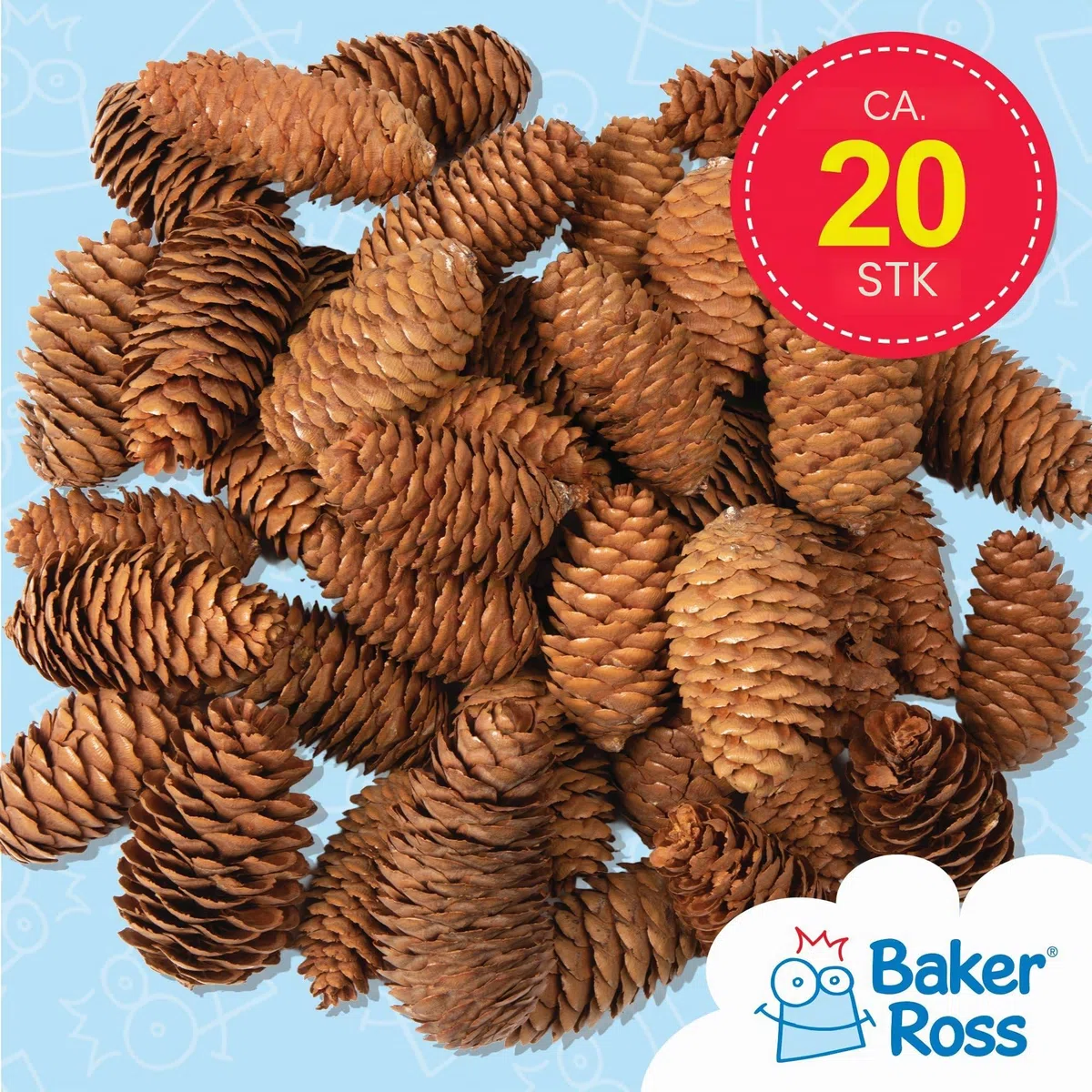 Baker Ross Lange Tannenzapfen 250g