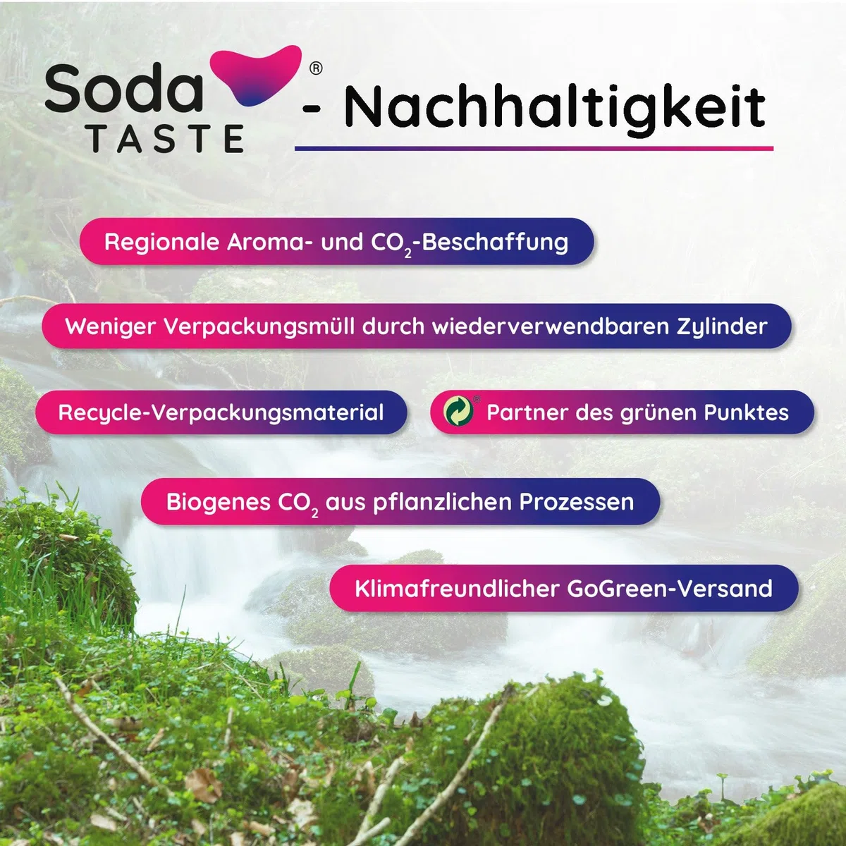 SodaTASTE CO2-Zylinder kaufen (Reservezylinder) für Wassersprudler, Classic, für bis zu 60l gesprudeltes Wasser