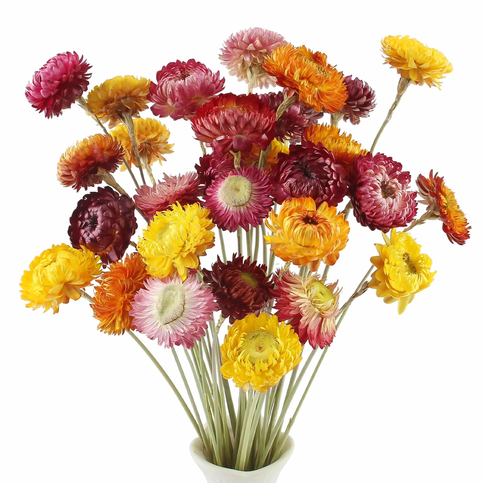 32 Stück Trockenblumen Trockenblumenstrauß Mehrfarbige Getrocknete Gänseblümchen Getrocknete Blumen Natur Trocken Pflanze für DIY Blumenarrangements Hochzeit Zuhause Tischvasendekoration