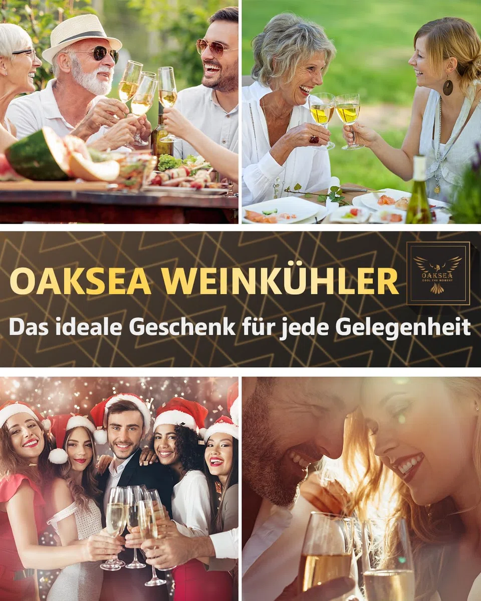 OAKSEA 7-in-1 Weinkühlstab Weihnachtsgeschenke, Weinkühler Geschenke für Männer Frauen Weihnachten, Ideales Adventskalender Geschenk für Weinliebhaber, Flaschenkühler Wein-Zubehör Wichtelgeschenke