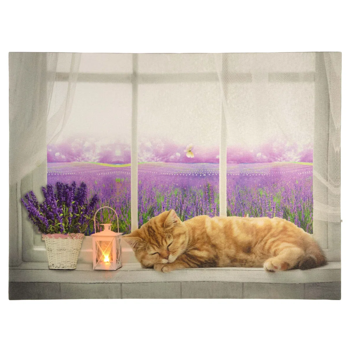 Nexos Trading LED Wandbild Leinwandbild mit Beleuchtung Fotodruck Lavendelfeld 30 x 40 cm 1 LED warm weiß Kunstdruck Leuchtbild Wiese Vintage-Stil Lavendelfeld Katze