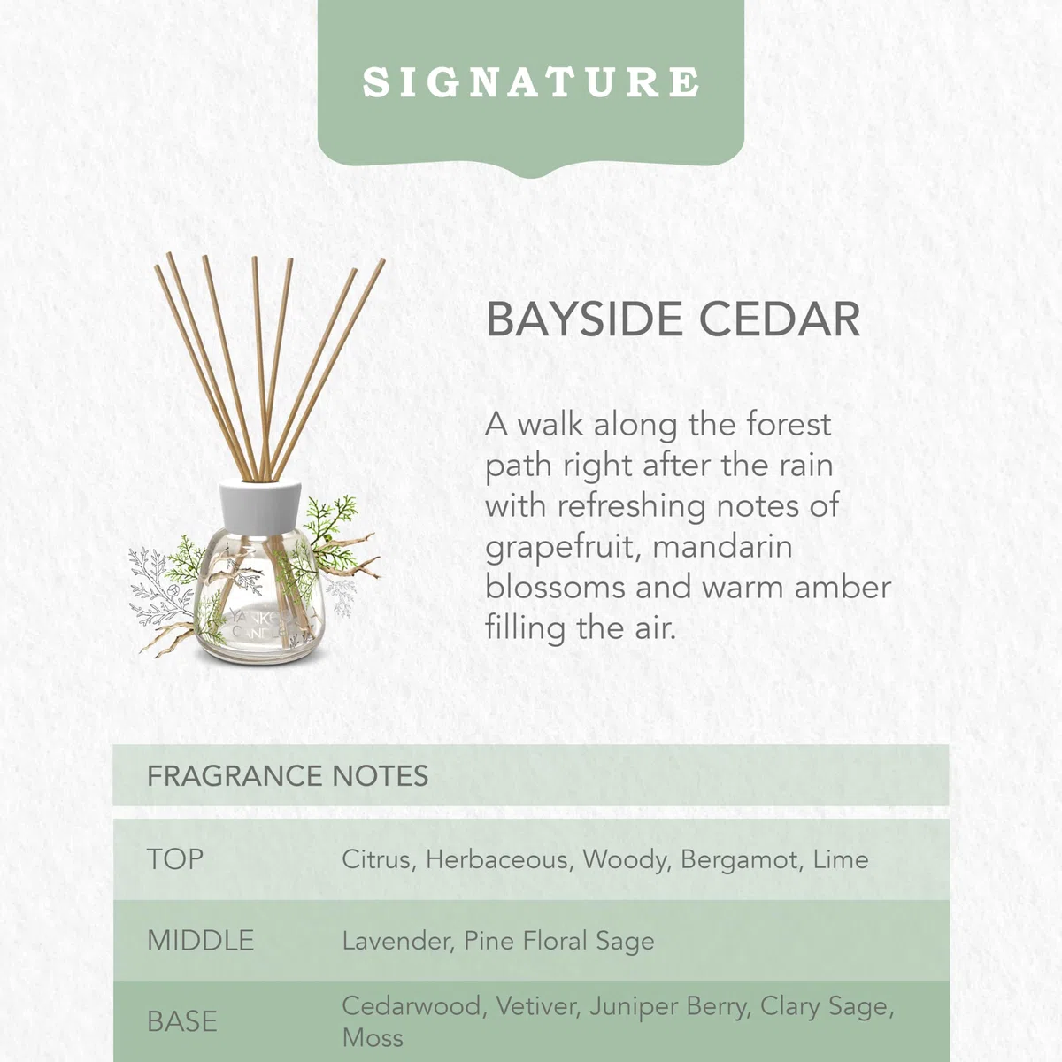 Yankee Candle Signature Nachfüllung für Diffusor mit Rattanstäbchen | Bayside Cedar | 200ml | bis zu 20 Wochen Duft | Perfekte Geschenke für Frauen