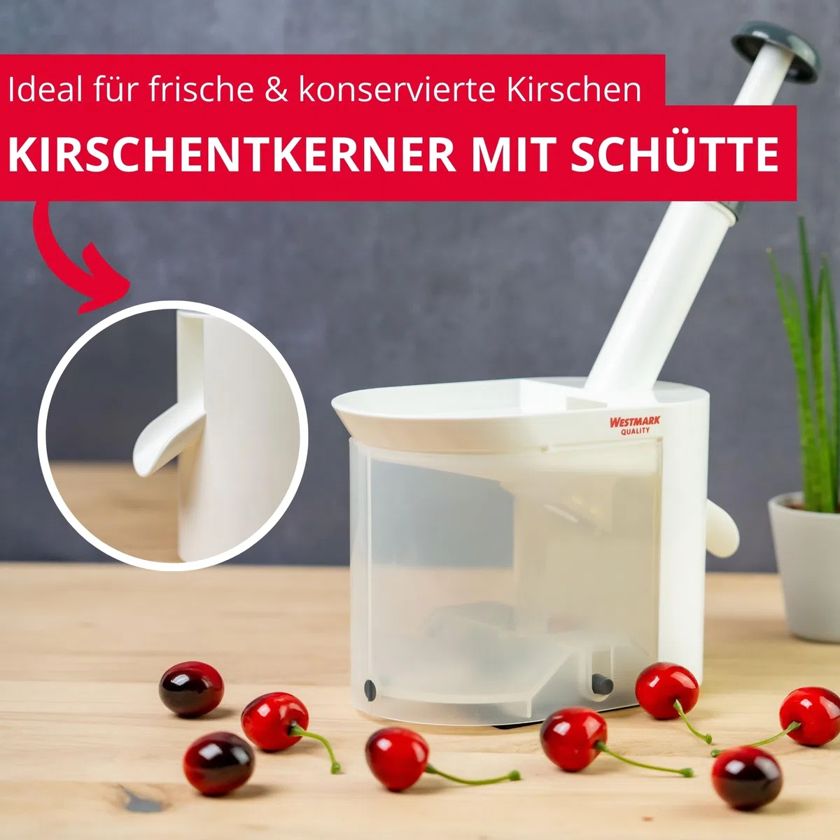 Westmark Kirschenentkerner mit Schütte und Kernkassette, Höhe: 22 cm, Kunststoff/Edelstahl, Weiß/Anthrazit, 40302260