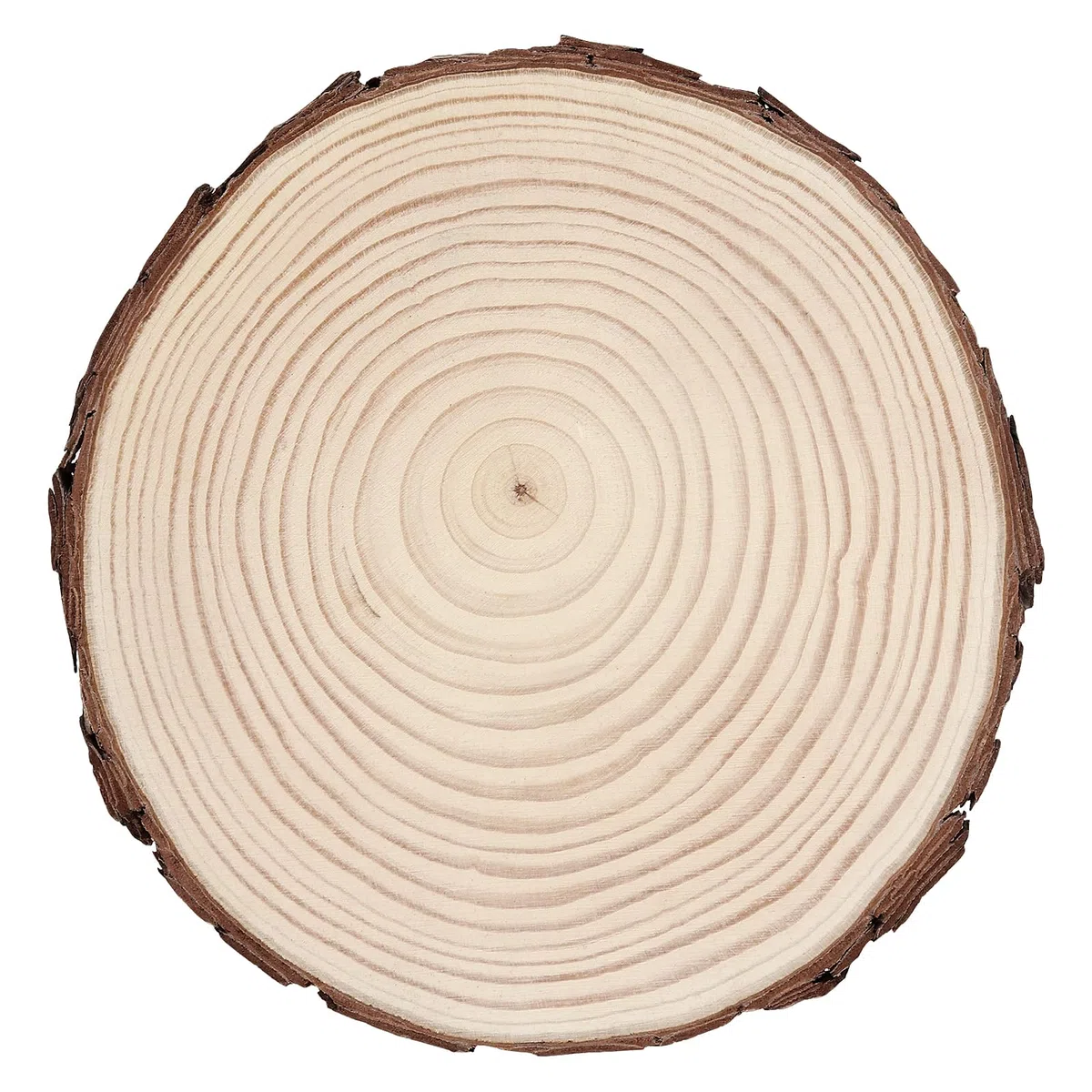 6 Stück 18-20cm Unvollendete Holzkreise, Natur Holzscheiben Rund Baumscheiben, Klein Holzscheiben zum Basteln Weihnachten Ornamente DIY Handwerk