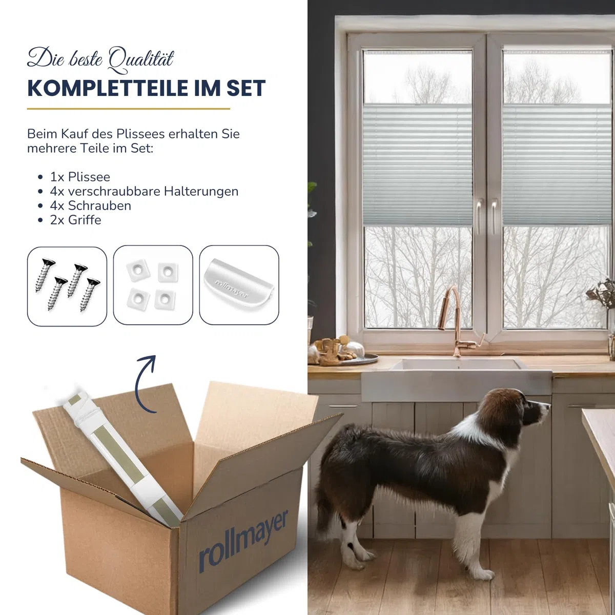 Rollmayer Plissee nach maß, Plissee mit Bohren 14 Farben 3 Profilfarben,Höhe 50-149 cm, Breite: 25cm-120cm, Plisseerollo Faltrollo Sichtschutz und Sonnenschutz für Fenster und Tür