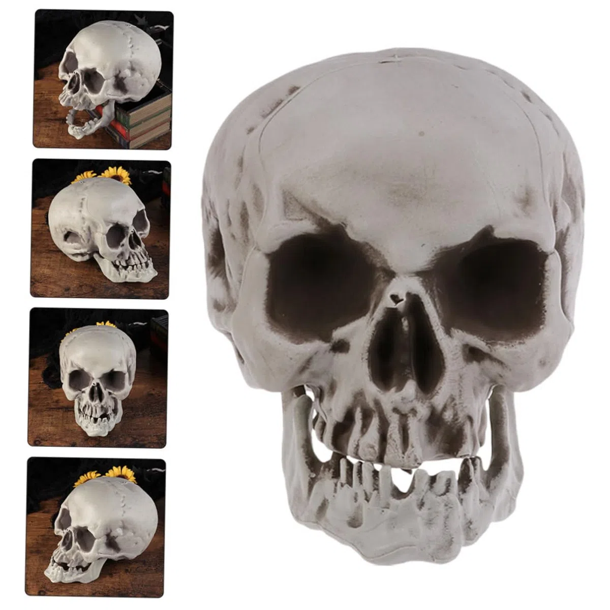 2stücke Simulationsmodelle Menschlicher Schädel für Halloween-Dekoration und Grusel-atmosphäre im Spukhaus