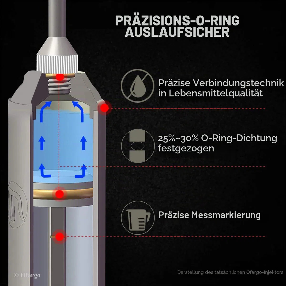 Ofargo Fleischspritze aus 304-Edelstahl, mit 4 Marinadennadeln für Holzkohlegrill, 60 ml Fassungsvermögen, E-Book mit Rezepten (PDF zum Herunterladen)