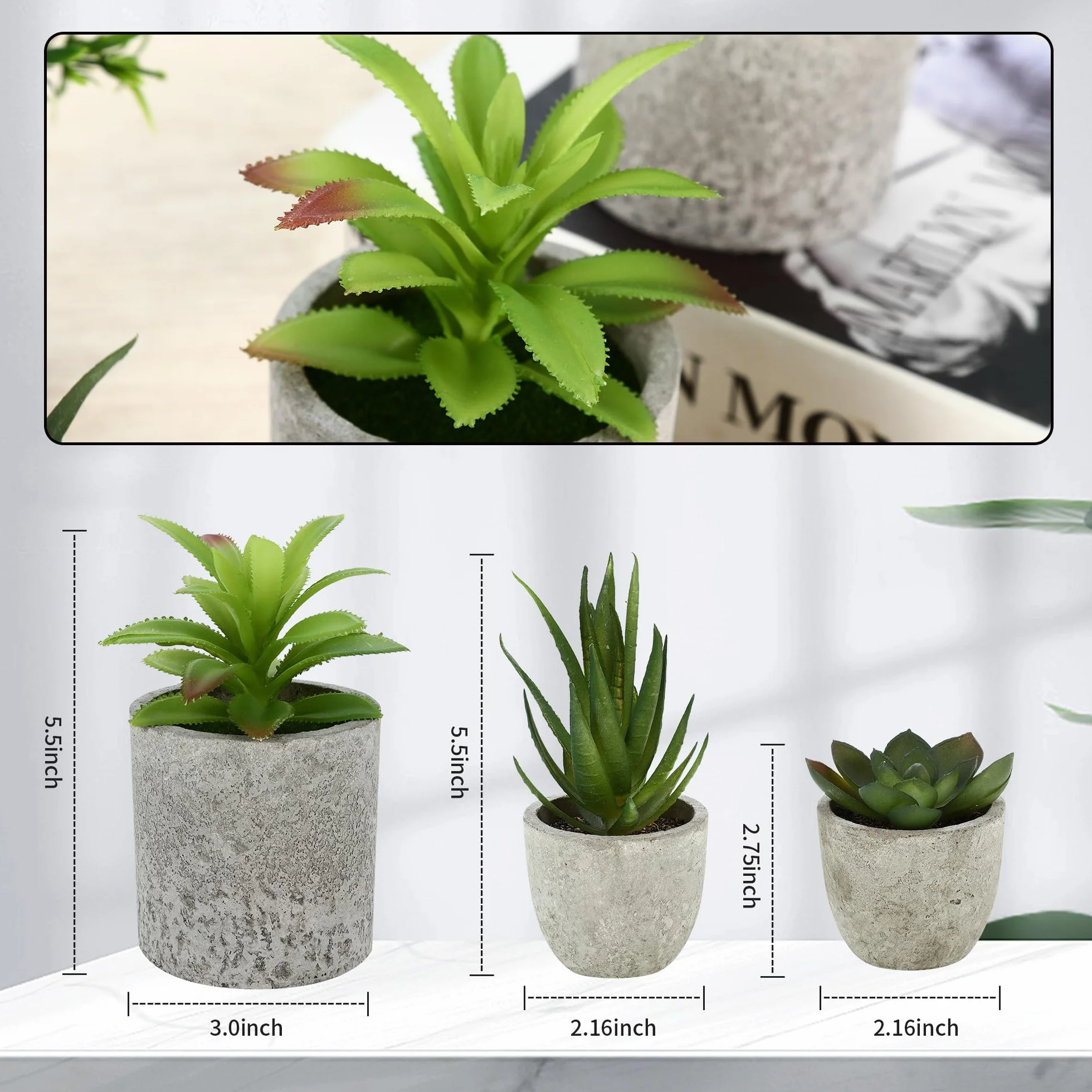 5 Stück Kunstpflanze, Mini Künstliche Pflanzen Schlangenzunge, Agave Sukkulente, Eagle Claw Aloe, Künstliche Pflanzen für Schlafzimmer Büro Dekoration