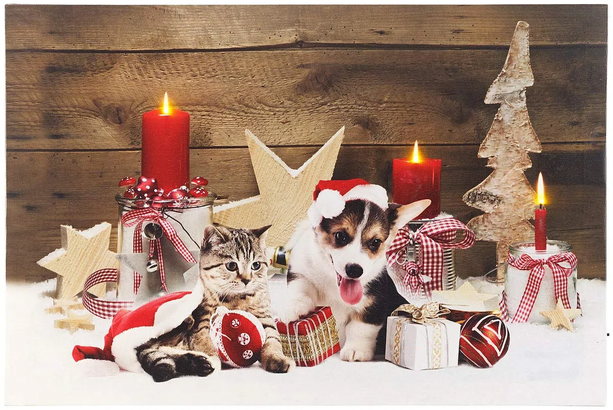 infactory Bilder Leinwand: LED-Wandbild, Weihnachts-Tierbabys-Motiv, 3 Flacker-LEDs, 60 x 40 cm (Bilder Weihnachtsmotiv, Wandbild Weihnachtsbaum, Kerze)