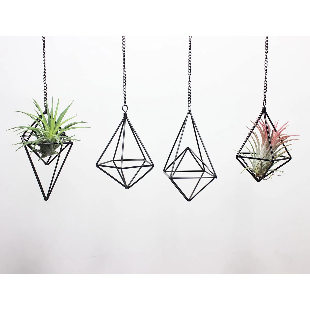 ZOOELAY 4 Stück Metall hängende Luftpflanzenhalter Einzigartiger 2 Stil Schwarz Himmeli Aufhänger Geometrische Pflanzgefäß Halter Luft Pflanzen Live Rack mit Kette