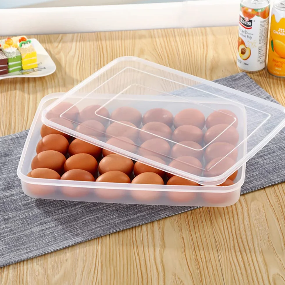 Eier Behälter, Eier Behälter Mit Deckel, Eierbox Aus Kunststoff, Eierbehälter mit Decke, für 30 Eier, Tragbare Ei Aufbewahrungsbox, für Kühlschrank