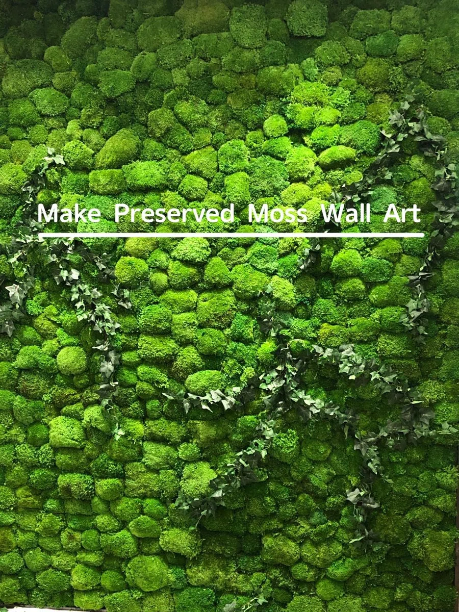 konservierte Pflanzen Stange Mooskissen Dutt Kissen Natur Grün Dekorativ Echt Natur Grün DIY Kit Terrarien Gartenarbeit Kunst Wanddekoration Florist Dekor (Green-b, 1.5 sq.ft.)