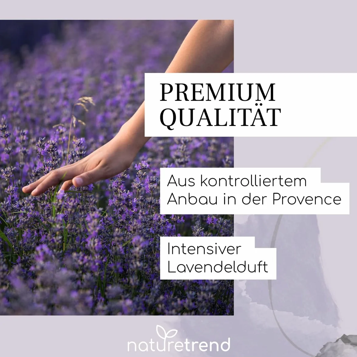 naturetrend Lavendelblüten getrocknet 500g- Französischer Lavendel aus der Provence I Neuste Ernte I Duftintensiv & bläulich für Duftkissen, Potpourri Duft Lavendelsäckchen Seifen Duftsäckchen