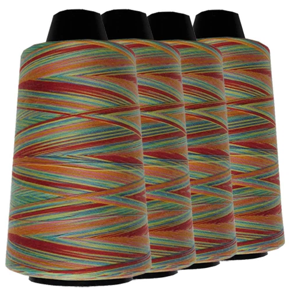 Schneidereibedarf Werner Multicolor Overlock-Nähgarn/Overlockgarn, 100% Polyester, 40/2 Stärke, 3.000 Yard (2.743 Meter), für alle Stoffe (4, C)