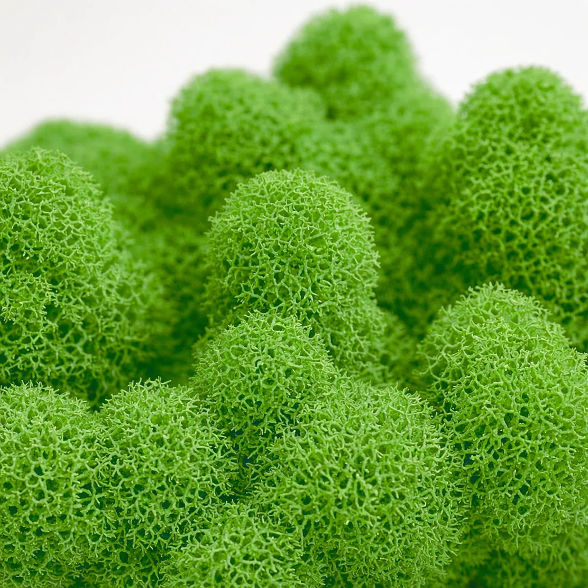 NaDeco Island-Moos 500g, echtes Moos in 30 Farben zur Wahl, fluffig & prall, Basteln Wand Deko Moss, für Moosbild Mooswand Moosplatten Kugelmoos Dekoration Ostern Weihnachten, Farbe:Grasgrün
