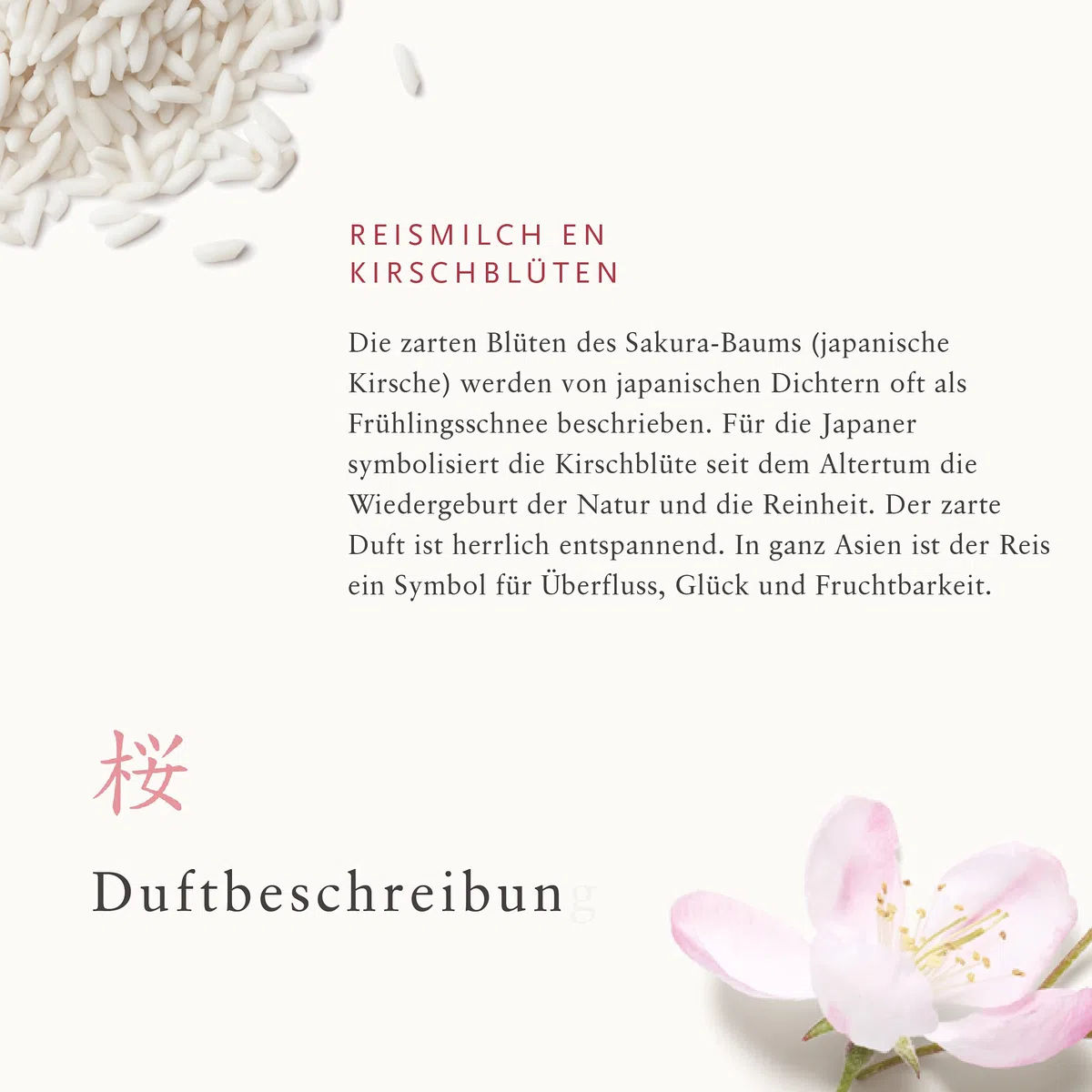 Rituals Reed Diffuser Sticks von The Ritual of Sakura 70ml - Mit Reismilch & Kirschblüte - Erneuernde Eigenschaften
