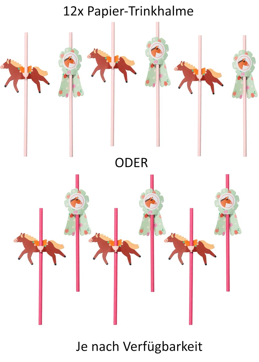 Libetui 48 Teile Geschirrset Pony Pferde Partygeschirr Kindergeburtstag – Pappgeschirr Set für 12 Personen mit Teller, Becher, Servietten & Trinkhalmen, Pferde Geburtstag Mädchen Jungen