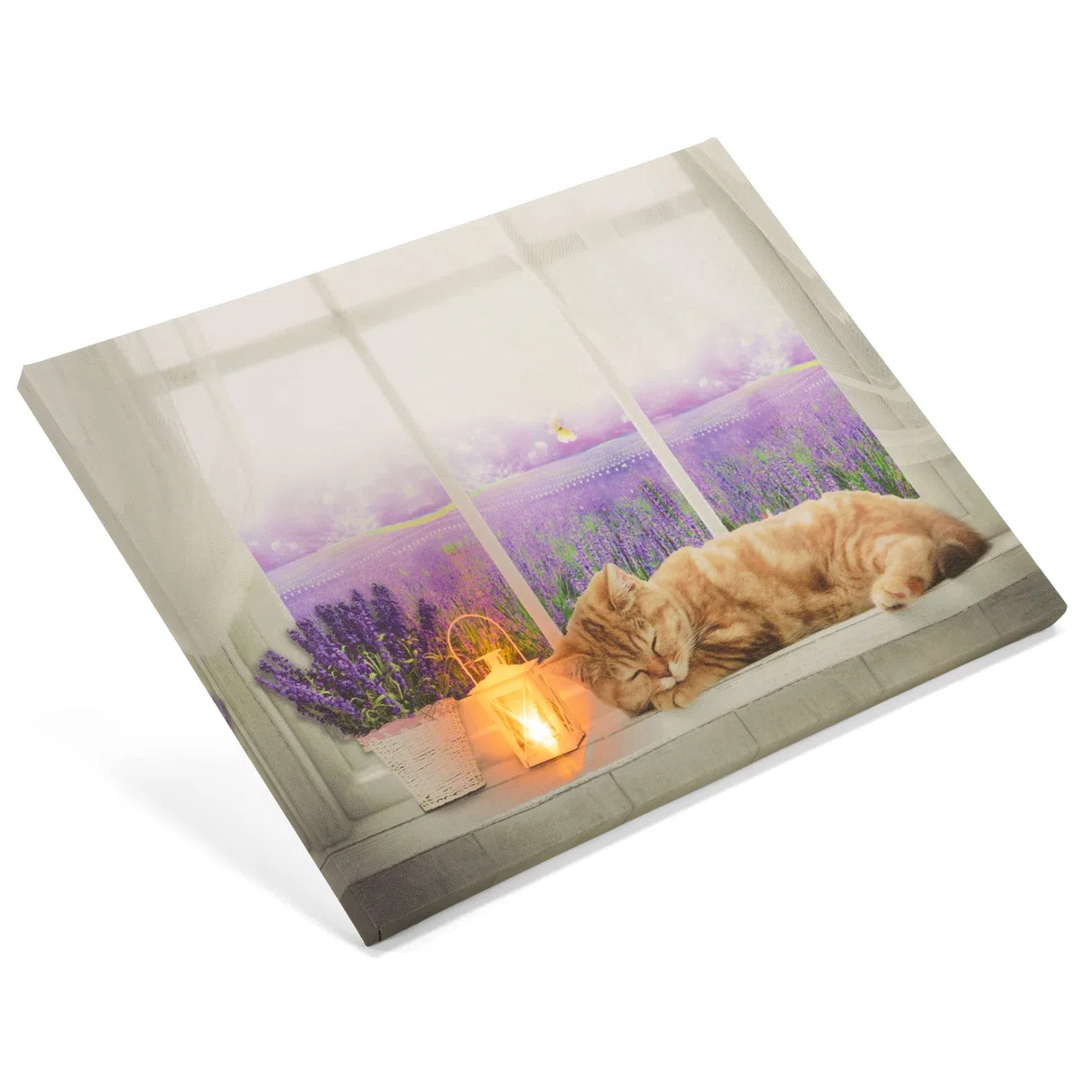 Nexos Trading LED Wandbild Leinwandbild mit Beleuchtung Fotodruck Lavendelfeld 30 x 40 cm 1 LED warm weiß Kunstdruck Leuchtbild Wiese Vintage-Stil Lavendelfeld Katze