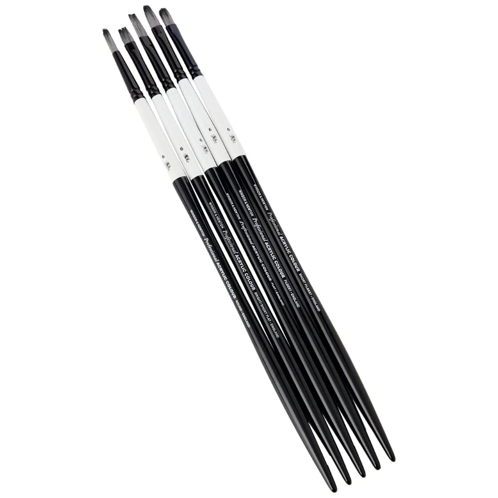 Winsor & Newton Professional Acryl Pinsel langem Griff, 5 Stück