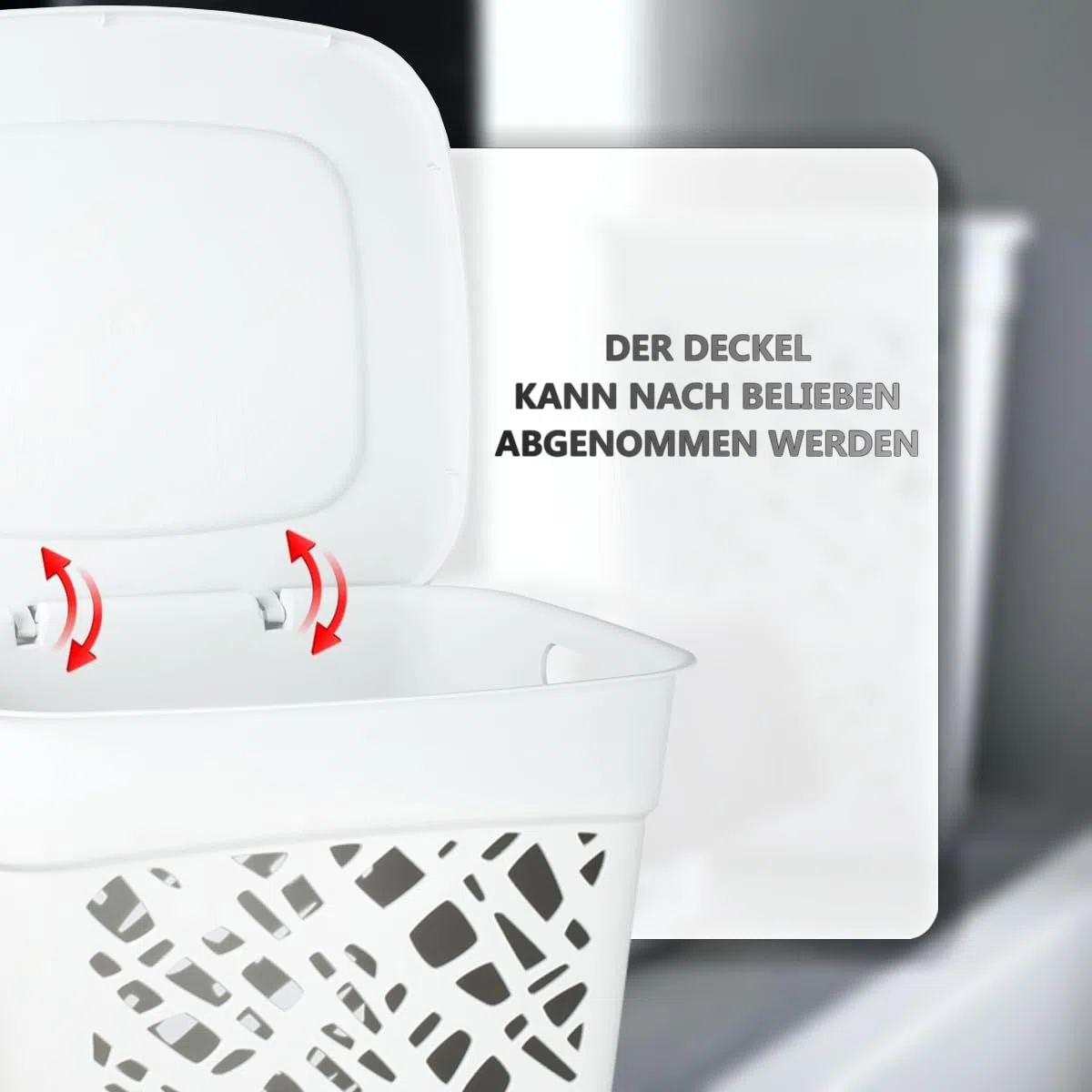 Wäschebox Wäschesammler 60L Wäschekorb mit Deckel Wäscheaufbewahrung aus Kunststoff Wäsche Sortierer