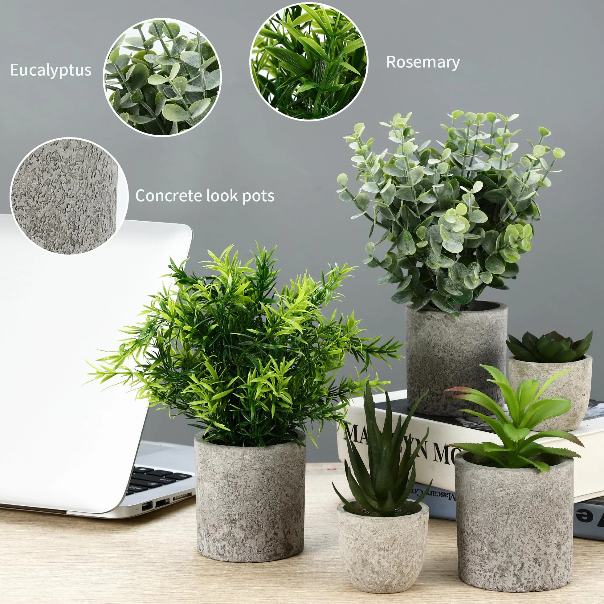 5 Stück Kunstpflanze, Mini Künstliche Pflanzen Schlangenzunge, Agave Sukkulente, Eagle Claw Aloe, Künstliche Pflanzen für Schlafzimmer Büro Dekoration