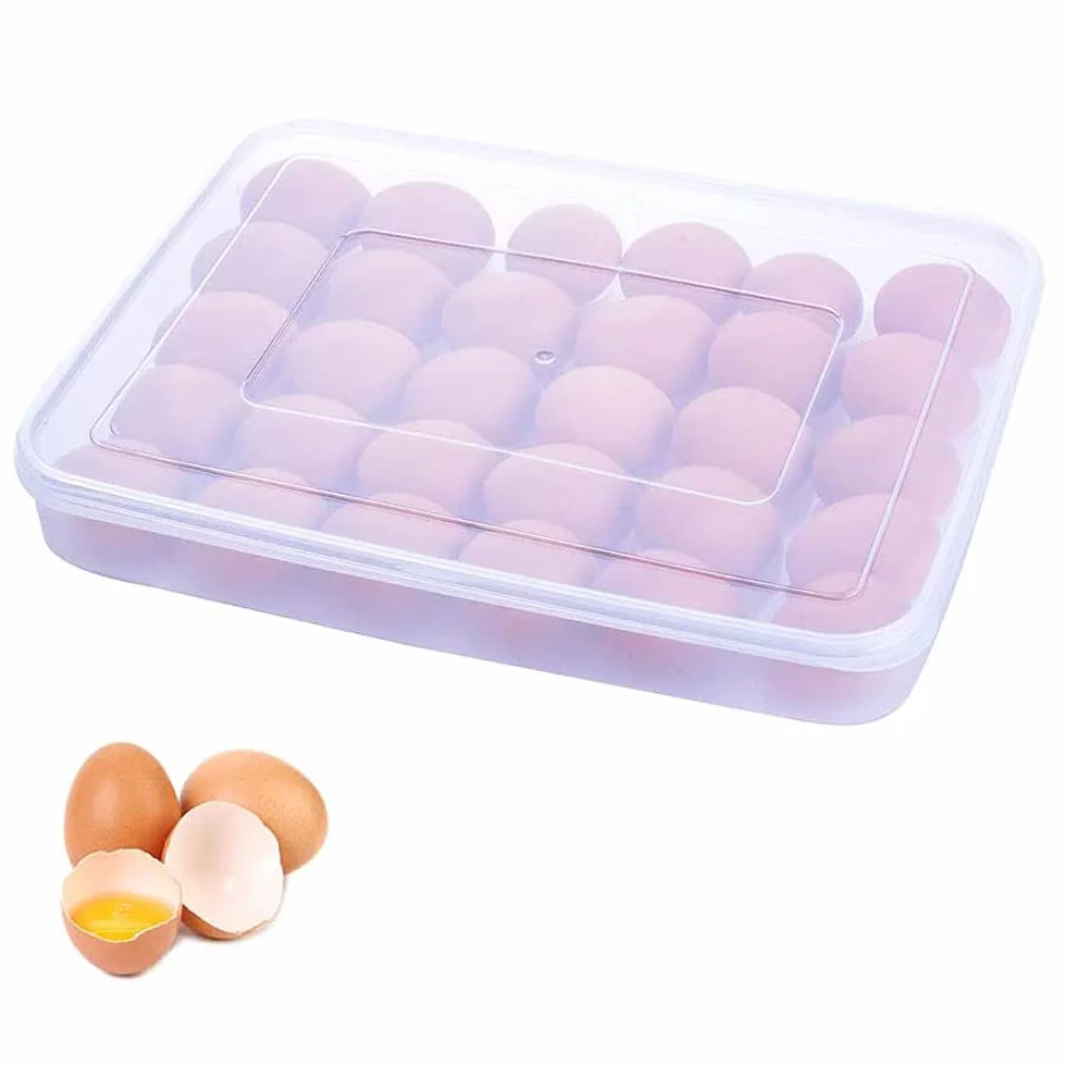 Eier Behälter, Eier Behälter Mit Deckel, Eierbox Aus Kunststoff, Eierbehälter mit Decke, für 30 Eier, Tragbare Ei Aufbewahrungsbox, für Kühlschrank