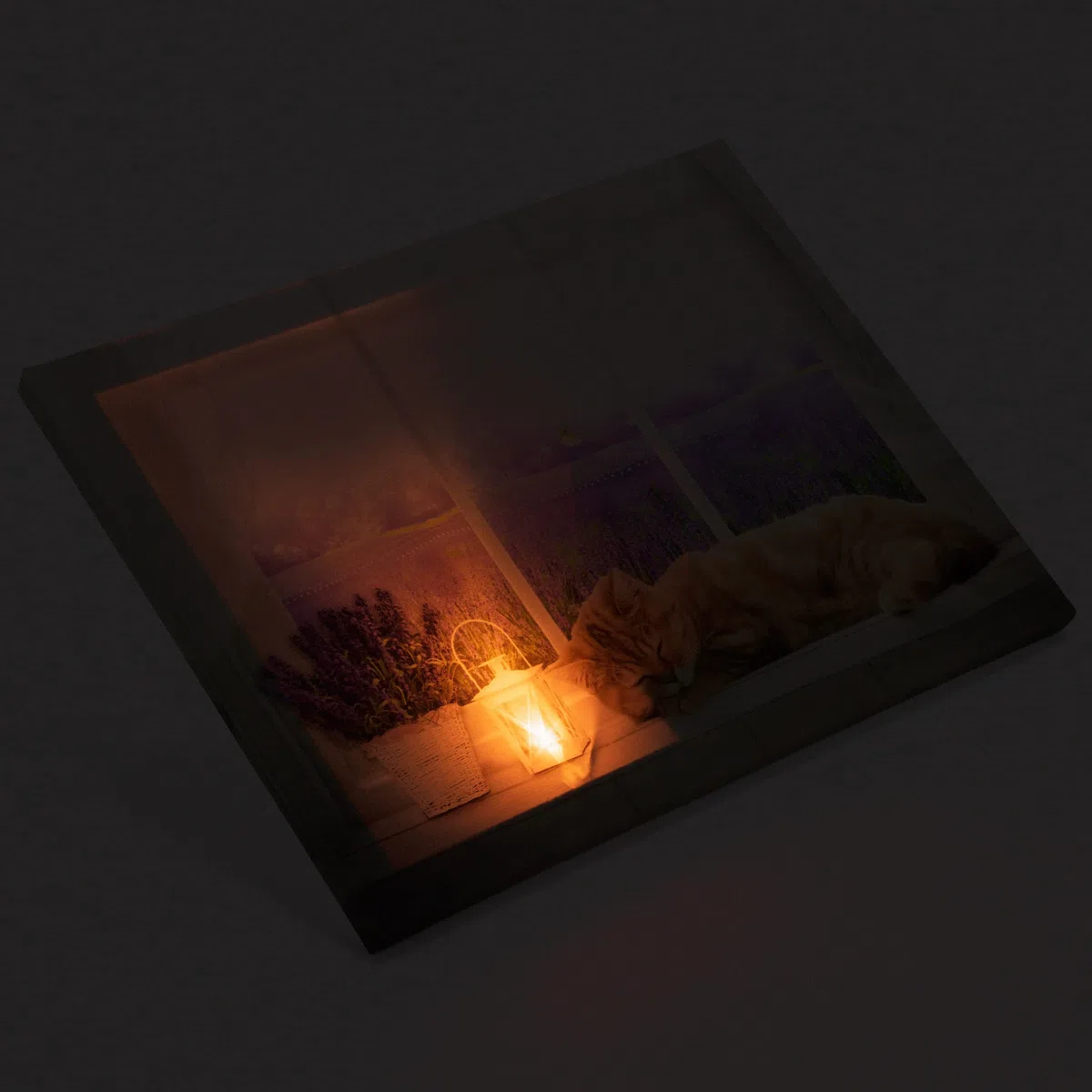 Nexos Trading LED Wandbild Leinwandbild mit Beleuchtung Fotodruck Lavendelfeld 30 x 40 cm 1 LED warm weiß Kunstdruck Leuchtbild Wiese Vintage-Stil Lavendelfeld Katze