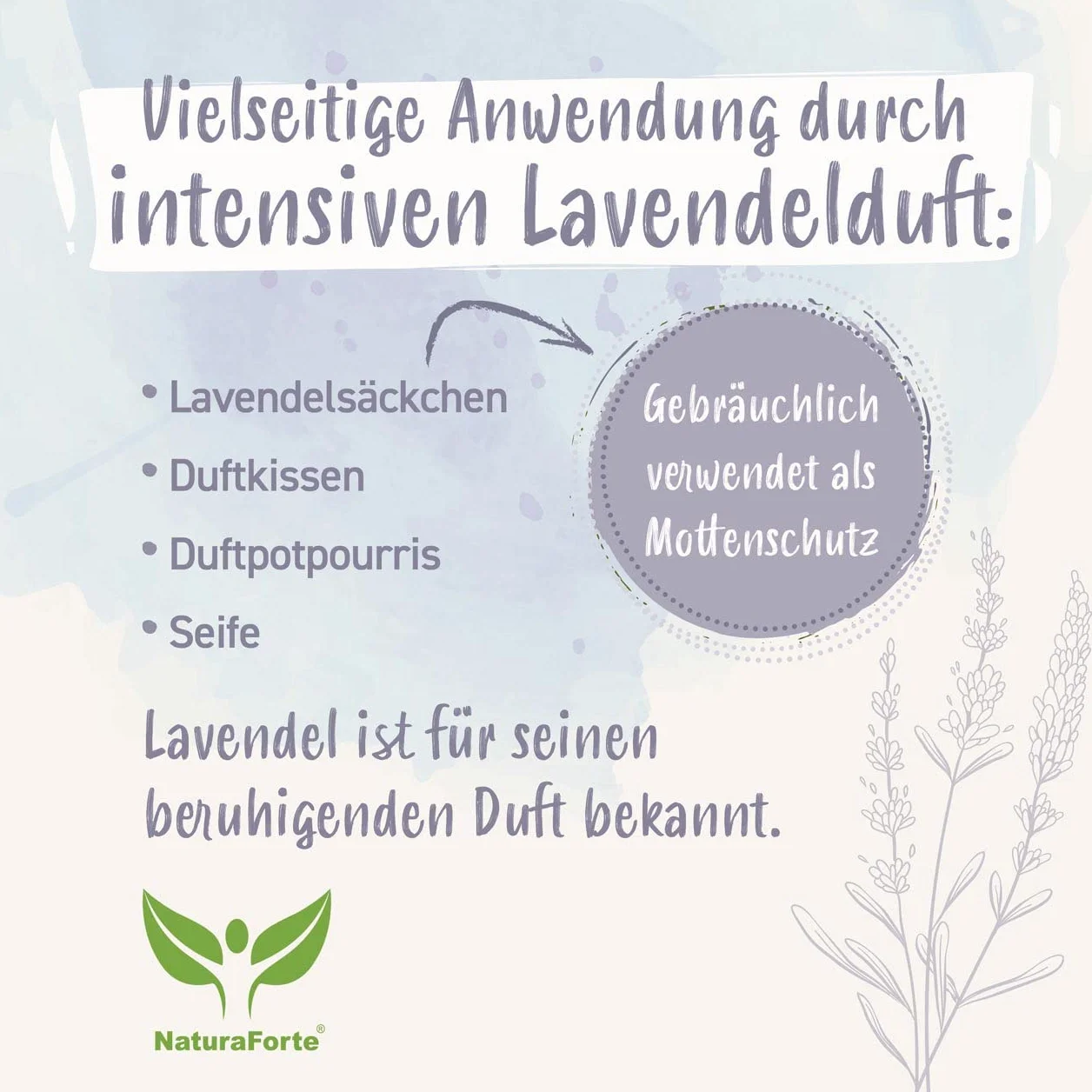 NaturaForte Lavendelblüten 500 g - Duftintensiv & bläulich, Lavendel getrocknet für Duftkissen, Potpourri Duft, Lavendelsäckchen, Seifen, Duftsäckchen