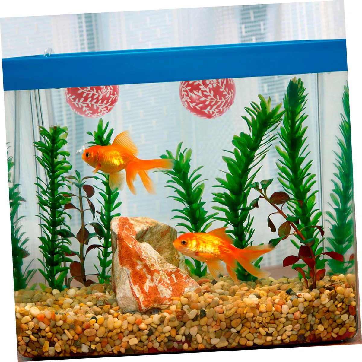 Garneck Keramikkugeln Für Die Dekoration Schwimmende Porzellankugeln Zufälligen Farben Für Pool Und Garten Stilvolle Wohnaccessoires Schwimmende Deko Für Teich Und