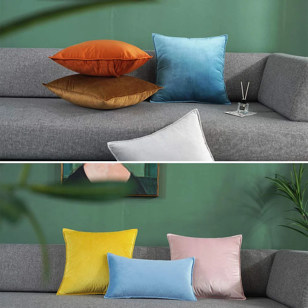 Matty-LZ 2er Set Samt Einfach Weicher Kissenbezug Hochwertige Qualität Set Dekorativ Sofa Schlafzimmer Auto Kissen Kissenhülle mit Verstecktem Reißverschluss Zweiteilig 50x50cm / 20"x20"inch Hellblau